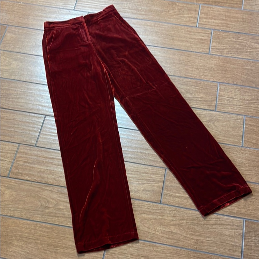 BCBG Burnt Orange Velvet Pants